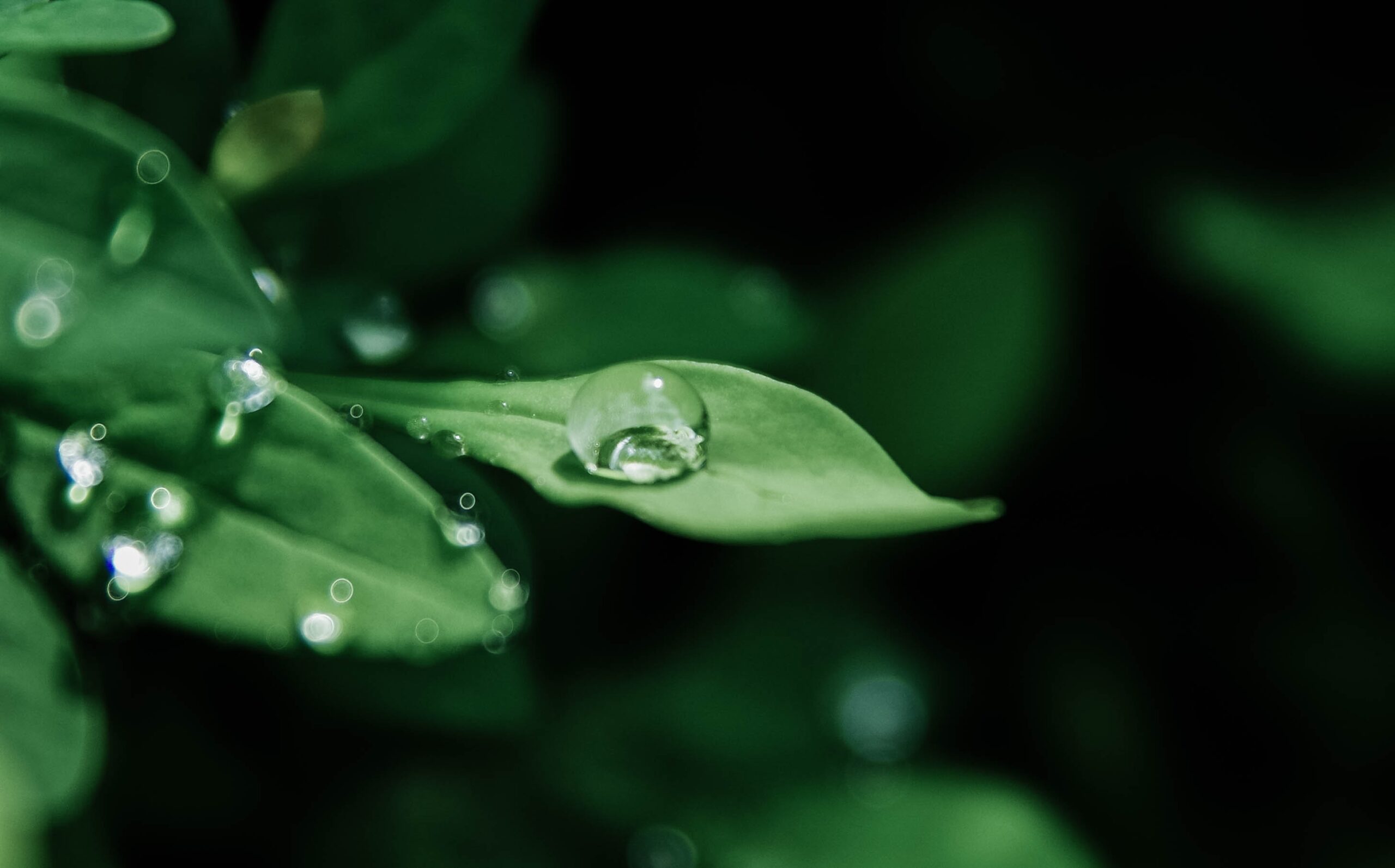 Monsoon’s Knowledge Drop | April