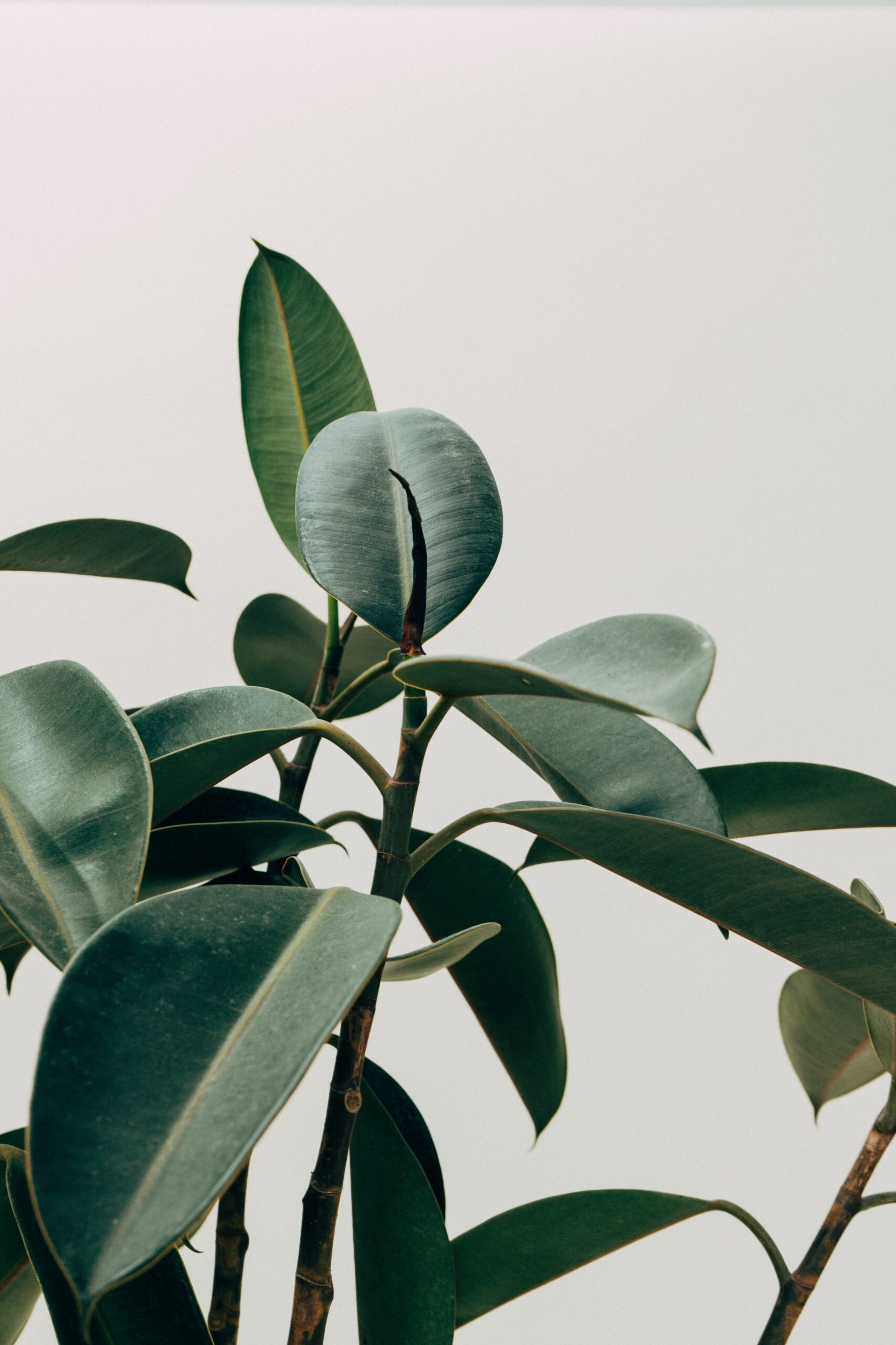 Monsoon’s Knowledge Drop | May